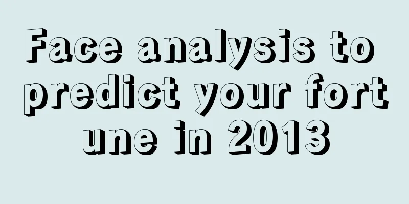 Face analysis to predict your fortune in 2013