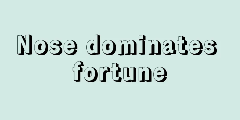 Nose dominates fortune