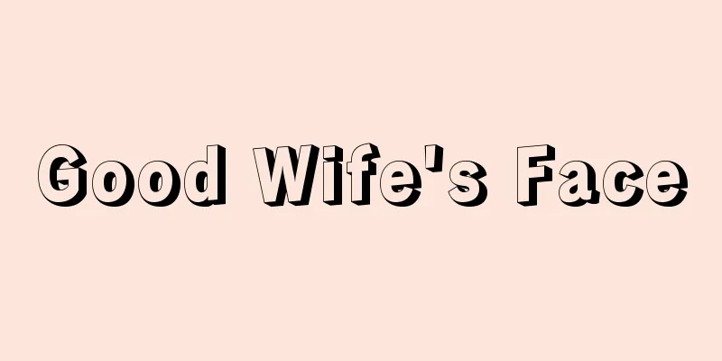Good Wife's Face