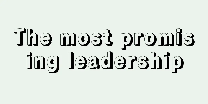 The most promising leadership