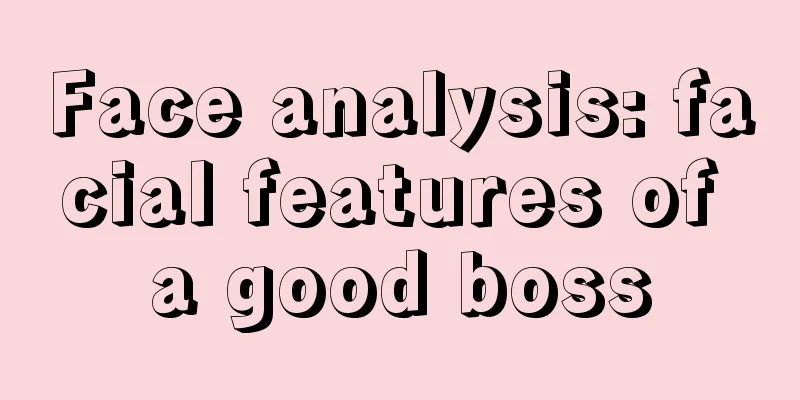 Face analysis: facial features of a good boss