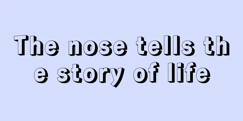 The nose tells the story of life