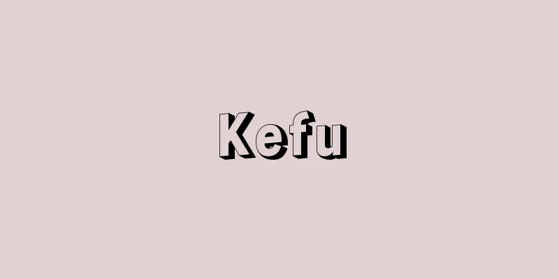 Kefu
