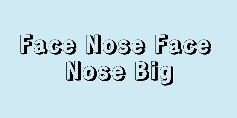 Face Nose Face Nose Big