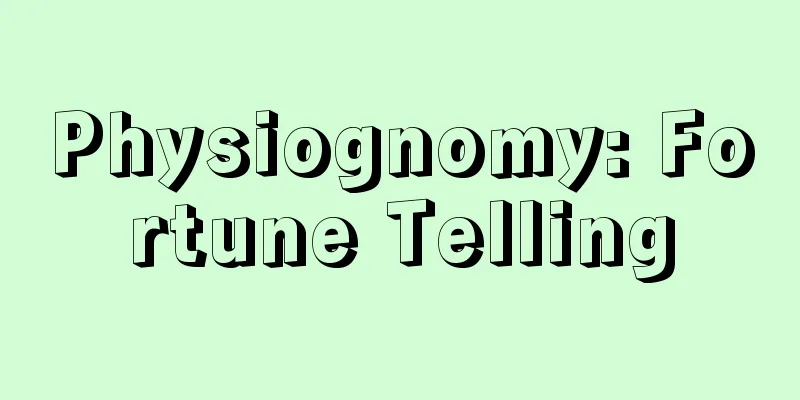 Physiognomy: Fortune Telling