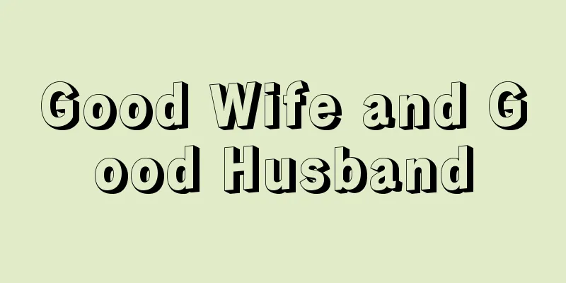 Good Wife and Good Husband