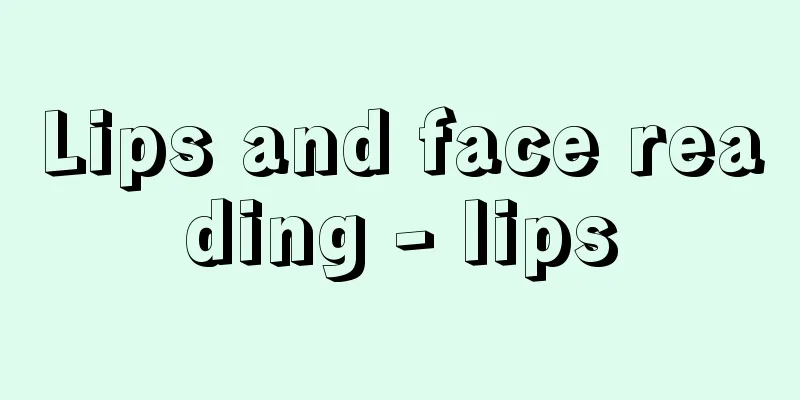 Lips and face reading - lips