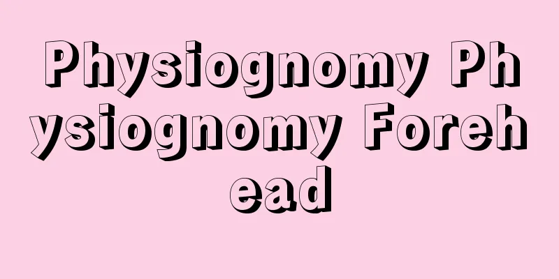 Physiognomy Physiognomy Forehead