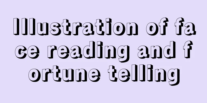 Illustration of face reading and fortune telling