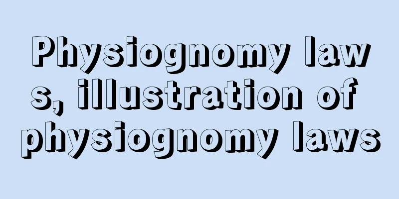 Physiognomy laws, illustration of physiognomy laws