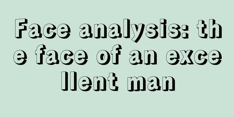 Face analysis: the face of an excellent man