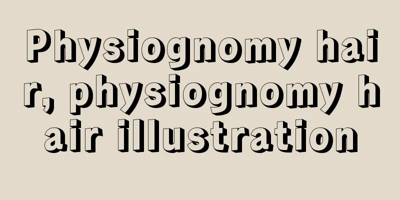 Physiognomy hair, physiognomy hair illustration