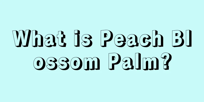 What is Peach Blossom Palm?