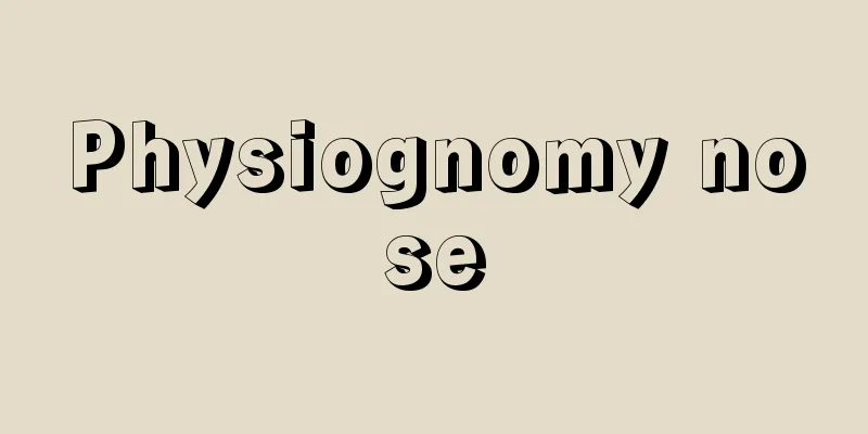Physiognomy nose