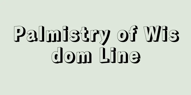 Palmistry of Wisdom Line