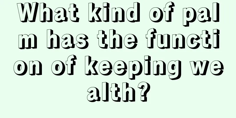 What kind of palm has the function of keeping wealth?