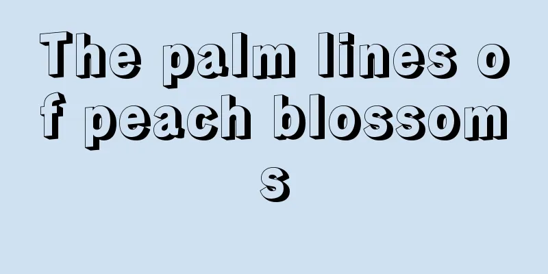 The palm lines of peach blossoms