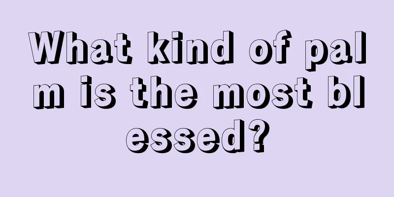 What kind of palm is the most blessed?