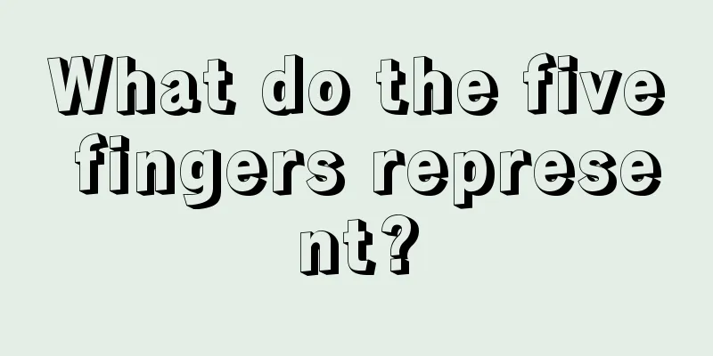 What do the five fingers represent?