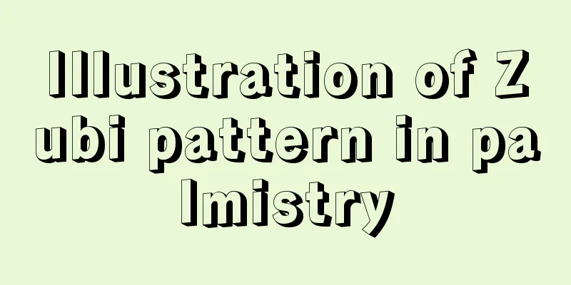 Illustration of Zubi pattern in palmistry