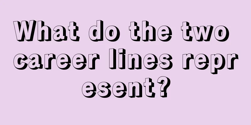What do the two career lines represent?