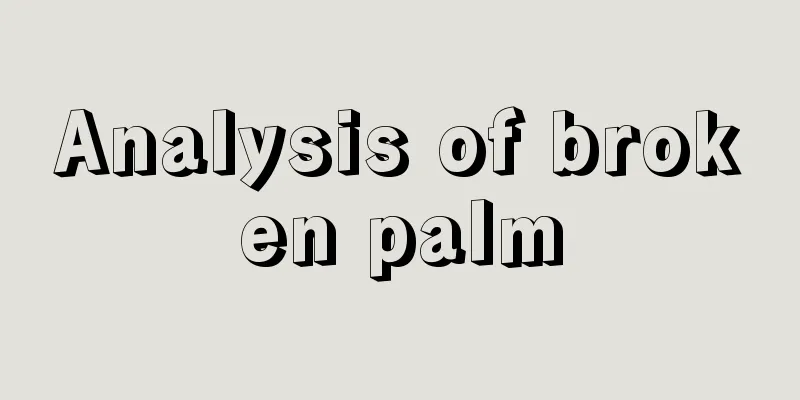 Analysis of broken palm