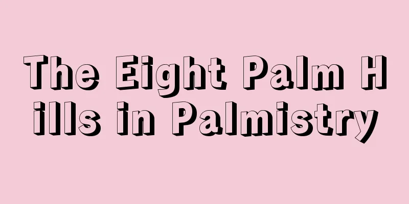 The Eight Palm Hills in Palmistry