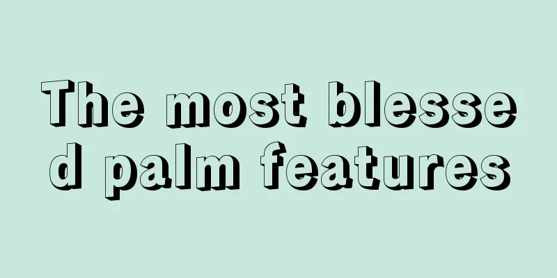 The most blessed palm features