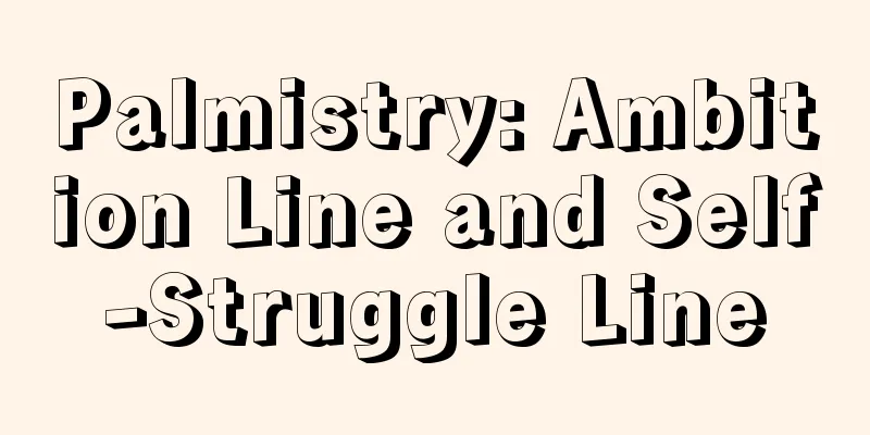 Palmistry: Ambition Line and Self-Struggle Line