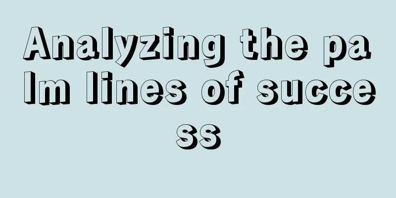 Analyzing the palm lines of success