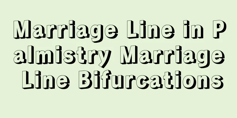 Marriage Line in Palmistry Marriage Line Bifurcations