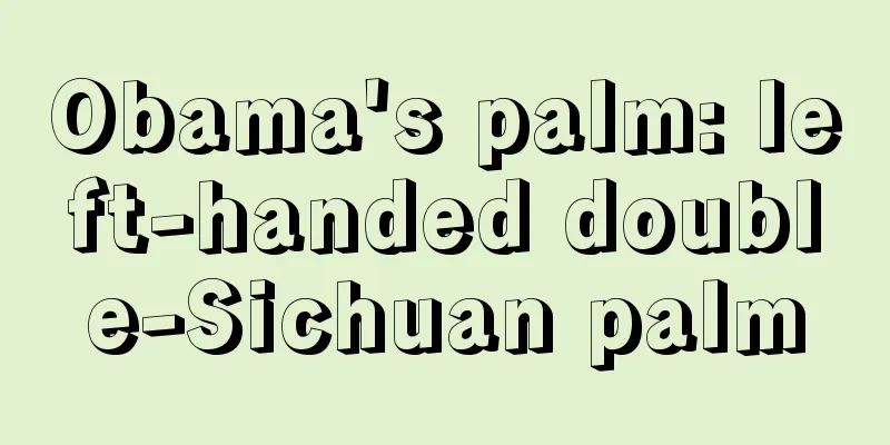 Obama's palm: left-handed double-Sichuan palm