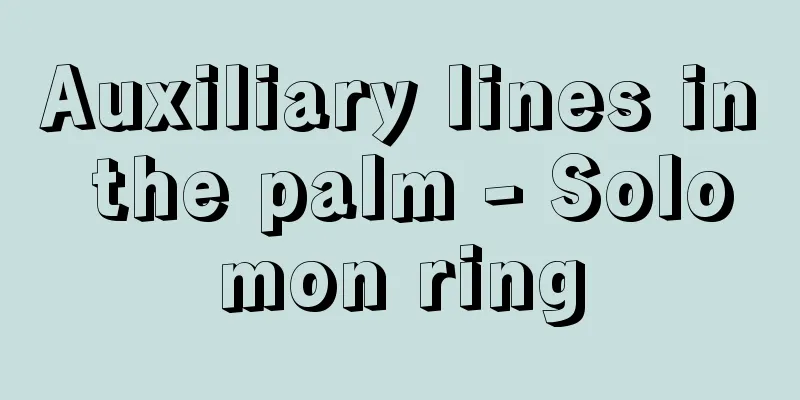 Auxiliary lines in the palm - Solomon ring