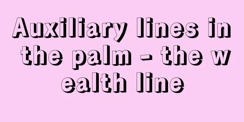 Auxiliary lines in the palm - the wealth line