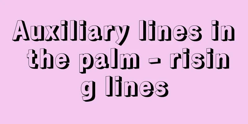 Auxiliary lines in the palm - rising lines