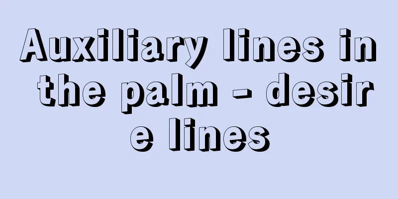 Auxiliary lines in the palm - desire lines