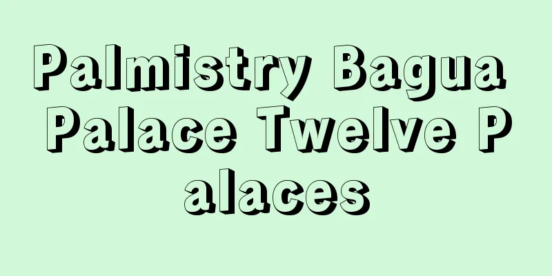 Palmistry Bagua Palace Twelve Palaces