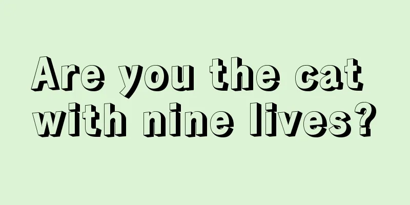 Are you the cat with nine lives?