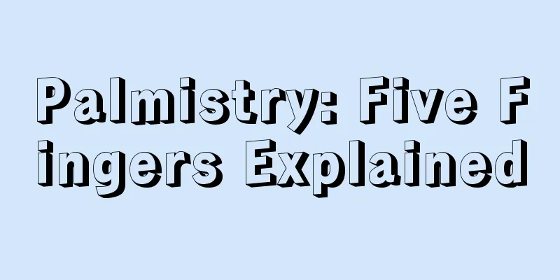 Palmistry: Five Fingers Explained