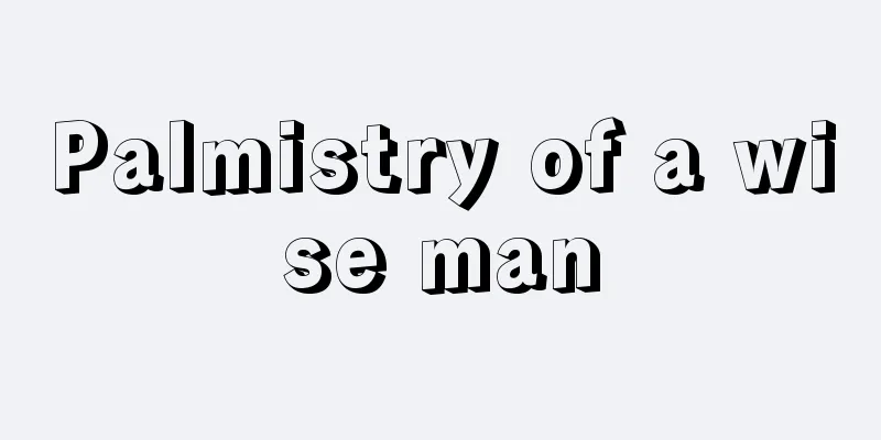 Palmistry of a wise man