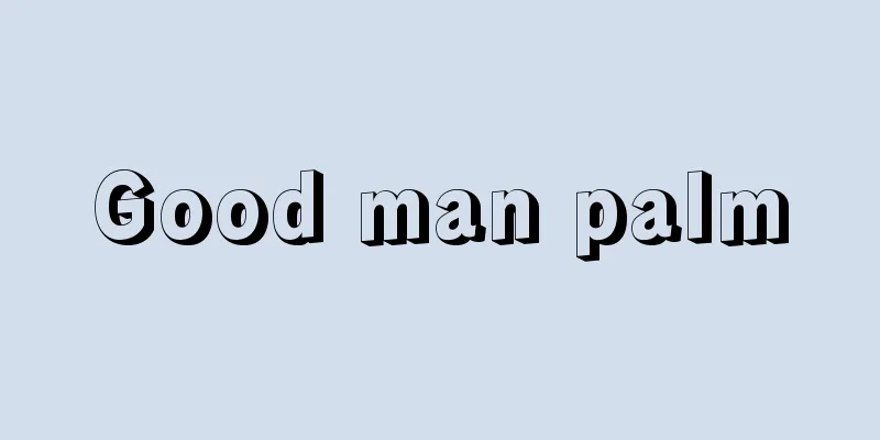 Good man palm