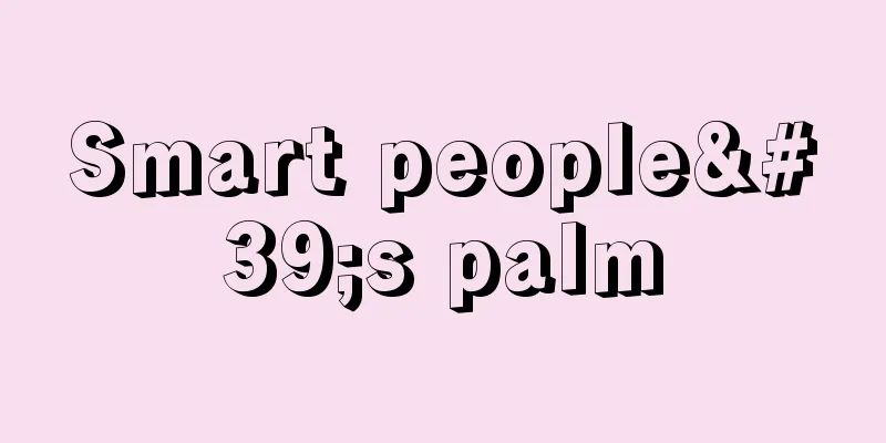 Smart people's palm