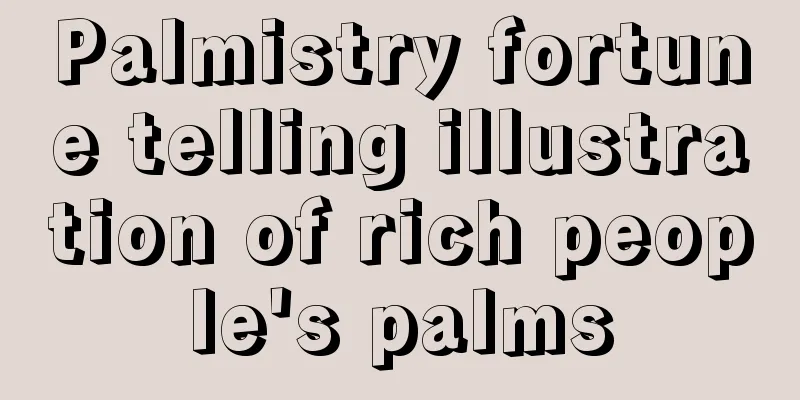 Palmistry fortune telling illustration of rich people's palms