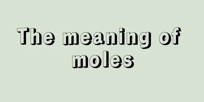 The meaning of moles