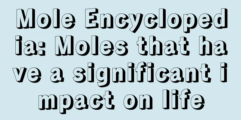 Mole Encyclopedia: Moles that have a significant impact on life