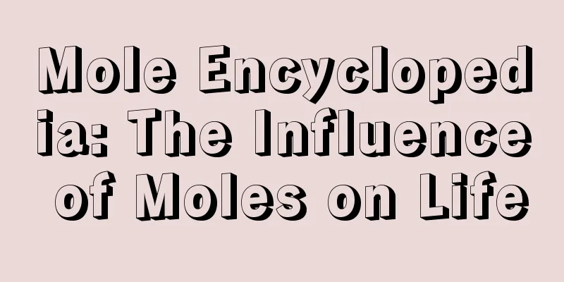 Mole Encyclopedia: The Influence of Moles on Life