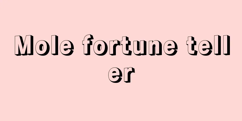 Mole fortune teller