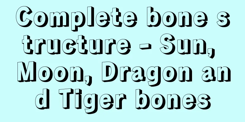 Complete bone structure - Sun, Moon, Dragon and Tiger bones