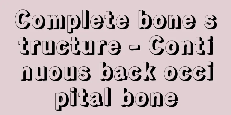 Complete bone structure - Continuous back occipital bone