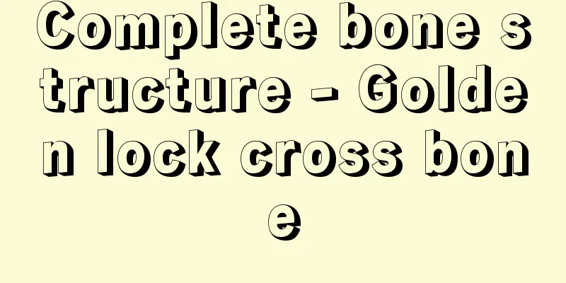 Complete bone structure - Golden lock cross bone